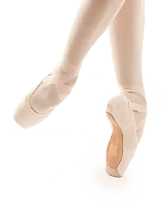 Gaynor Minden Europa Sleek Fit Pointe Shoe FeatherFlex Shank Low Vamp