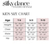Silky Dance size chart displayed with measurement guidelines.