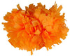 Epic Sports E198662 Cheerleaders (1-COLOR) 4" Pom (each)