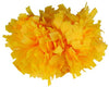 Epic Sports E198662 Cheerleaders (1-COLOR) 4" Pom (each)